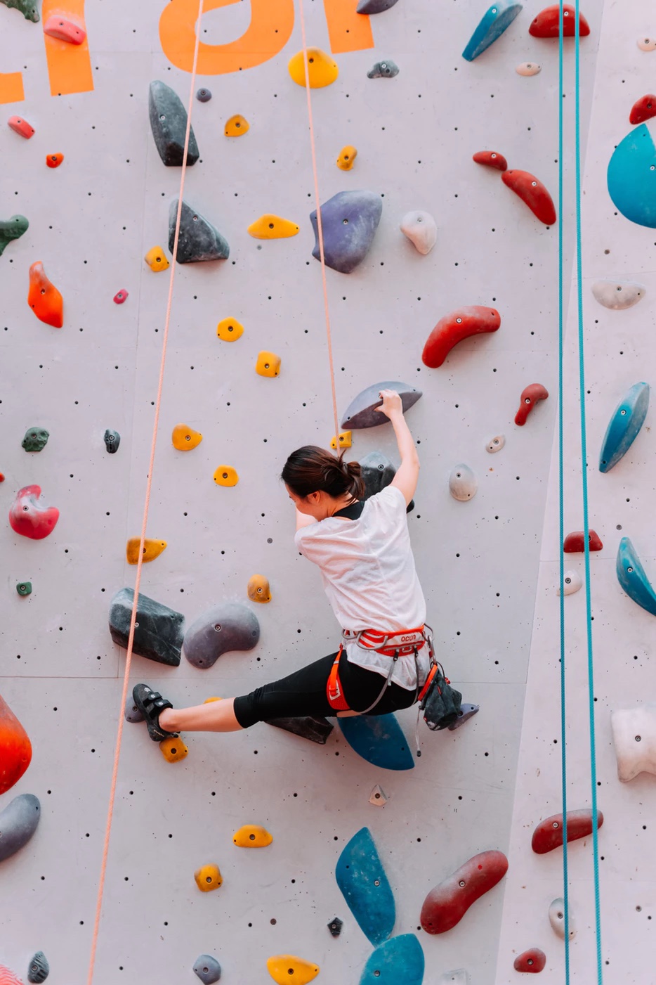 Rock climber ascending a wall with calculated holds and safety ropes